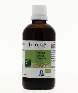 Oats - fresh organic plant extract BIO, 100 ml